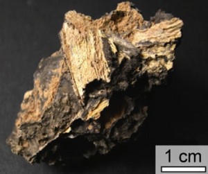 A snapshot of ancient environmental conditions. The scorching heat produced by asteroid or comet impacts can melt tons of soil and rock, some of which forms glass as it cools. Some of that glass preserves bits of ancient plant material. Image credit: Brown University  