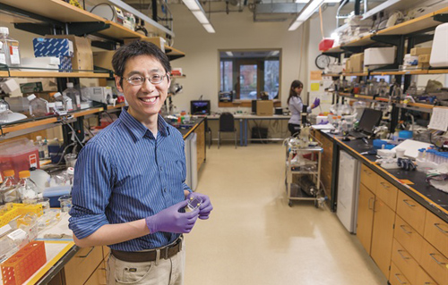 Biomedical engineer Rong Fan has developed a device that reveals a cell’s nature based on the proteins it secretes. “Cells use proteins to talk to each other,” he says. “I wanted to know what they were talking about.” (Photo by Robert A. Lisak)