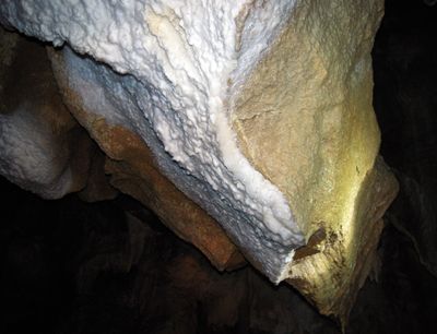 Leben in lebensfeindlicher Umgebung: Die Mondmilch-Ablagerungen der Hundalm Eis- und Tropfsteinhöhle werden von vielen Mikroorganismen bewohnt. Bild credit: Christoph Reitschuler