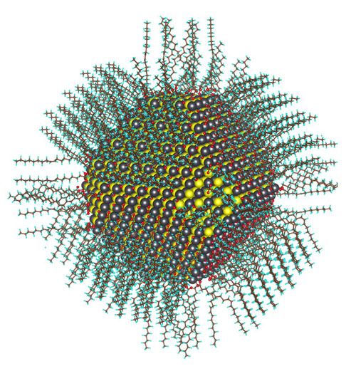 Calculated atomic structure of a 5nm diameter nanocrystal passivated with oleate and hydroxyl ligands. (Image courtesy of Berkeley Lab) 
