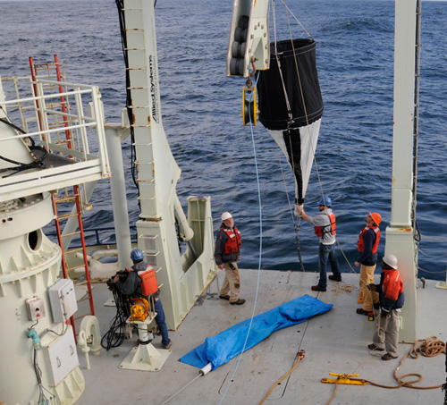 To conduct their work, the scientists collected water samples at different depths of the ocean during two cruises from the relatively nutrient-rich waters off Woods Hole to the phosphorus-starved subtropical Sargasso Sea near Bermuda in 2008 and 2012. Pictured here are corresponding author WHOI Associate Scientist Benjamin Van Mooy (orange helmet) and research assistant Justin Ossolinski (blue helmet) working with crew members of the R/V Knorr to deploy a sediment net-trap used in the study. (Photo by Suni Shah, Woods Hole Oceanographic Institution)