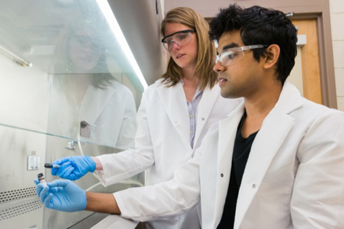 Catherine Leimkuhler Grimes, assistant professor, and doctoral student Vishnu Mohanan are sleuthing out proteins involved in Crohn's disease, information critical to the development of novel therapies for the inflammatory bowel disease. Photo by Evan Krape