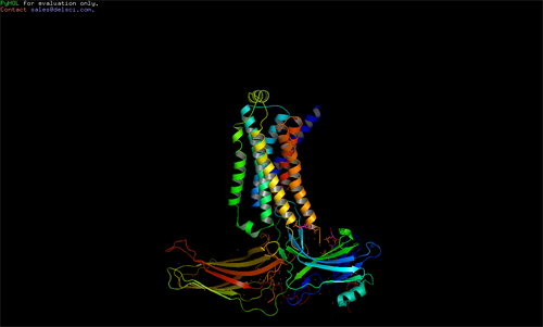 A structural model of the beta2 adrenergic receptor-arrestin signaling complex as deduced by electron microscopy, cross-linking and mass spectrometry. Image credit: Duke University