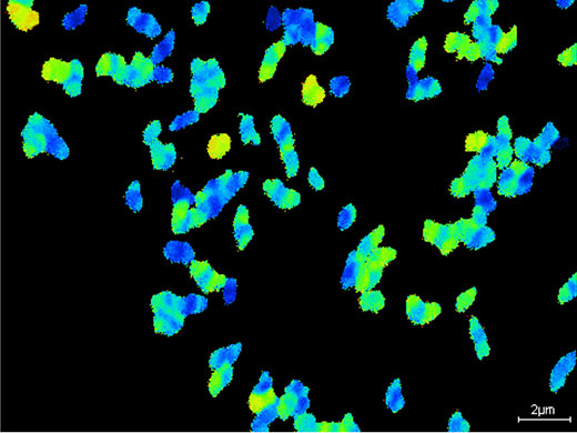 Nachweis der Wasserstoff-abhängigen Kohlendioxid-Fixierung von einzelnen Nitrospira-Zellen mittels NanoSIMS. Je wärmer die Farbe, desto mehr Kohlendioxid wurde von den Zellen eingebaut (Image copyright: Arno Schintlmeister, Universität Wien).