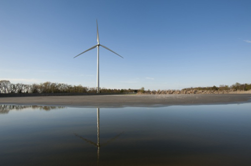 Adjusting wind turbine operations during the migration season at the University of Delaware's Hugh R. Sharp Campus in Lewes has resulted in a significant decrease in deaths among bats, according to researchers. Photo by Kathy F. Atkinson