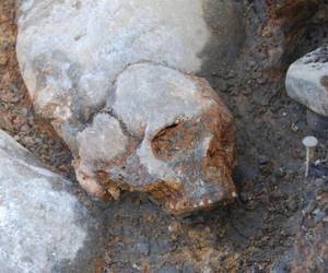 Ausgrabung in Motala, Schweden, hier wurden die sieben ca. 8.000 Jahre alten Jäger und Sammler gefunden, deren Erbgut die Forscher untersuchten. Bild credit: Fredrik Hallgren