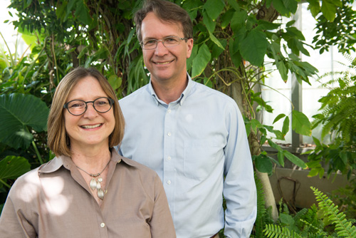 Heidi Appel and Rex Cocroft. Appel and Cocroft determined that plants respond to the sounds that caterpillars make when eating plants and that the plants respond with more defenses. Image credit: Roger Meissen