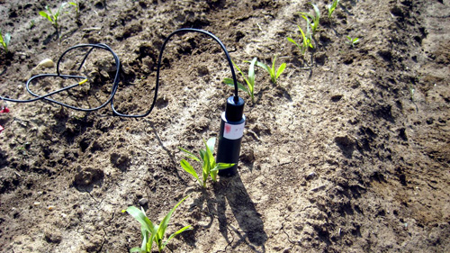 Bodenfeuchtemessung mittels mobiler Messsonde im noch spärlich bewachsenen Maisfeld. Image credit: DLR