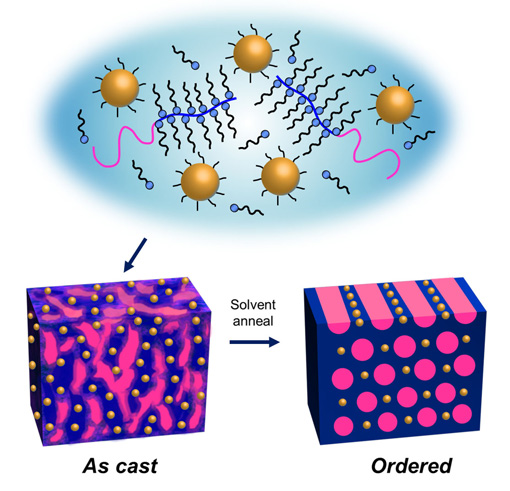 Upon solvent annealing, supramolecules made from gold nanoparticles and block copolymers will self-assemble into highly ordered thin films in one minute. Image credit: Berkeley Lab