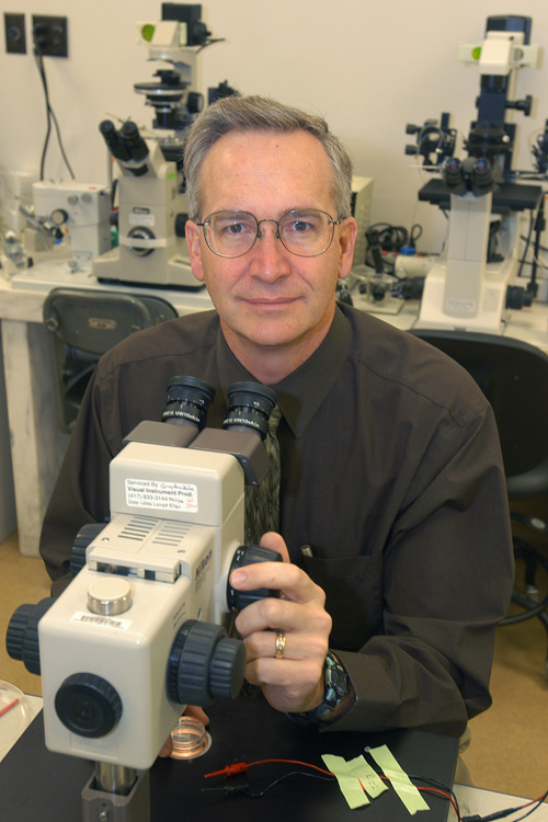 Randall Prather is an MU Curators Professor of reproductive physiology in the College of Agriculture, Food and Natural Resources. Image credit: University of Missouri