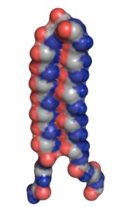 The UW’s designed “alpha sheet” protein structure. Image credit: U of Washington