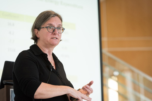 In the second annual Foltyn Family Health Sciences Seminar, Amy Luke from Loyola University Chicago shared highlights of her research on the role of physical activity in obesity across a number of cultures. Photo by Evan Krape