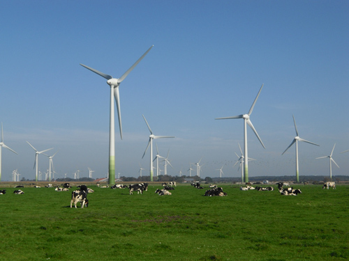 Die Windenergie ist eine tragende Säule der Energiewende. Bild Quelle: Lütkehus / UBA