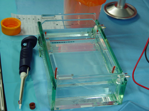 Using equipment such as this gel apparatus, researchers can use electrical currents to separate and identify bacterial antibiotic resistance genes. (Photo by Jean McLain)