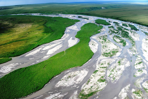 The Sagavanirktok River on the North Slope of Arctic Alaska. Image credit: George W. Kling