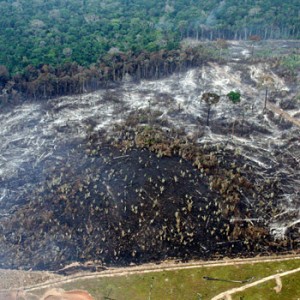 Entwaldung im brasilianischen Regenwald. Image credit: © Juvenal Pereira / WWF-Brazil