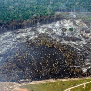 Entwaldung im brasilianischen Regenwald. Image credit: © Juvenal Pereira / WWF-Brazil