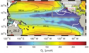 The low-oxygen zone is below the surface off the coasts of Mexico and Peru. Sediment cores were collected at the northern low-oxygen zone, near Santa Monica and Baja California. Image credit: C. Deutsch / UW (Click image to enlarge)