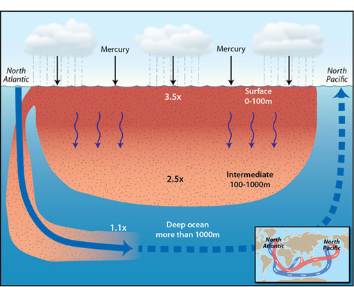 Researchers led by Carl Lamborg at the Woods Hole Oceanographic Institution found that mercury from human activity (primarily atmospheric emissions produced by coal burning and cement production, as well as gold mining) have resulted in ocean waters down to 100 meters depth being enriched in the toxic element up to 3.5 times the background level caused by the natural breakdown, or weathering, of rocks on land. (Illustration by Jack Cook, Woods Hole Oceanographic Institution)
