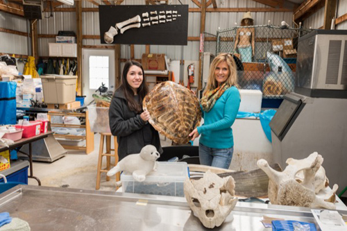 UD's Merope Moonstone (left) and Suzanne Thurman, executive director of the Marine Education, Research and Rehabilitation Institute. Photo by Evan Krape