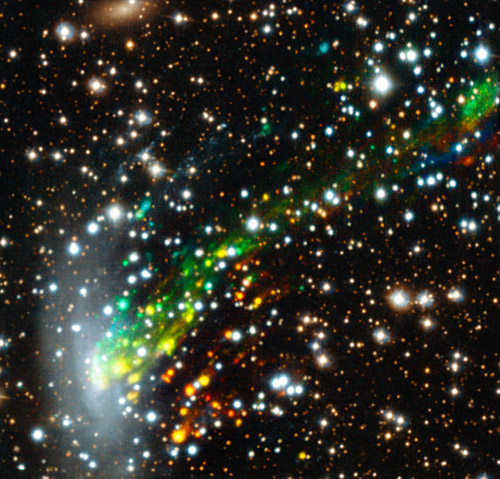 Das neue Instrument MUSE am Very Large Telescope (VLT) der ESO hat Forschern die bislang beste Aufnahme eines spektakulären kosmischen Zusammenstoßes geliefert. Die neuen Beobachtungen zeigen zum ersten Mal die Bewegung des Gases, während es aus der Galaxie ESO 137-001 herausgerissen wird und mit Höchstgeschwindigkeit in einen riesigen Galaxienhaufen stürzt. Die Ergebnisse sind der Schlüssel zur Lösung eines alten Rätsels – der Frage warum die Sternentstehung in Galaxienhaufen abgeschaltet wird. In diesem Bild zeigen die Farben die Bewegung der Gasfilamente an - rot bedeutet, dass sich das Material von der Erde weg bewegt, blau dagegen bedeutet eine Bewegung auf die Erde zu. Der obere linke und der untere rechte Teil des Bildes wurden durch Hubble-Aufnahmen des Objektes ergänzt. Image credit: ESO/M. Fumagalli