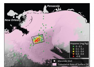 Map of the Northern Gulf of Mexico identifying the locations and extent of contamination for sampling sites used in this study.  Sampling sites are identified as small circles with hotter colors indicating higher levels of contamination.  For reference, the cumulative extent of oil at the sea surface is shown in pink, highlighting the differences in transport of surface slicks and oil suspended in the deep ocean waters. Figure by G. Burch Fisher, UCSB (Click image to enlarge)