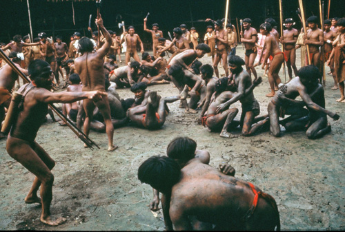 In this mid-1960s photo, men from two Yanomamö villages in the Amazon engage in nonhostile combat to determine the strength and fighting prowess of potential alliance partners. A new study from the University of Utah and University of Missouri indicates the Yanomamö – who engaged in killing to gain status in past decades – often formed alliances with men in different villages when they attacked and killed people in other communities, then married their allies’ sisters or daughters. The idea is they fought like a “band of brothers-in-law” more than a closely related “band of brothers,” fathers and sons from a single community. Photo Credit: Courtesy of Napoleon Chagnon