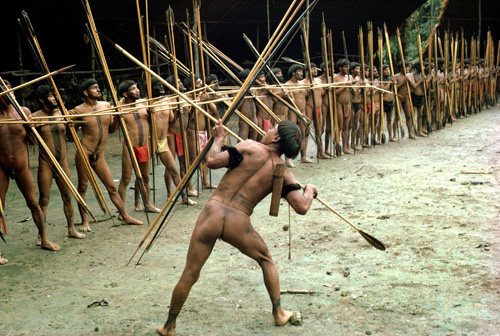 Taken in the late 1970s, this photo shows Yanomamö warriors from two villages preparing to leave on a raid against a third village. A new study showed that the Yanomamö formed such alliances rather than going on raids only with close kin from the same community, which is the way chimpanzees fight. Photo Credit: Courtesy of Napoleon Chagnon