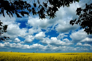 Bärbel: „schauen wir nach oben zum blauen Himmel dann sehen wir eine Zukunft die mit Glück und Freude umhüllt ist….“ (Image credit: Martijn van Exel , Source: Flickr)