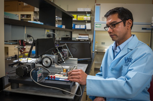 Chandran Sabanayagam studies the worm C. elegans at the Delaware Biotechnology Institute. Photo by Kathy F. Atkinson