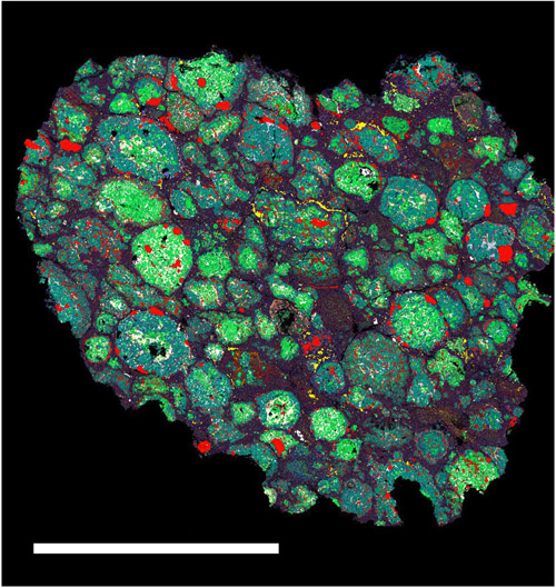 This image shows an element map of chondrules in the Renazzo meteorite. Green is magnesium, yellow is calcium, red is iron and blue is silicon. These textures are similar to one of the simulations of a mesoscale impact shock reported in December 2014 in Nature Communications. The scale bar at lower left measures six millimeters (two-tenths of an inch). Image courtesy of Bland et al. (2014)