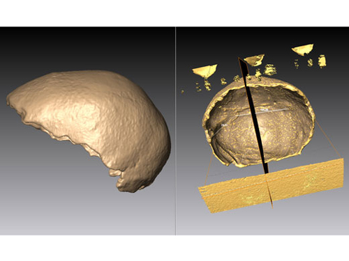 Der Manot Gehirnschädel am Computerbildschirm, von der Seite betrachtet (links), und von Innen (rechts). (Image copyright: Universität Wien).