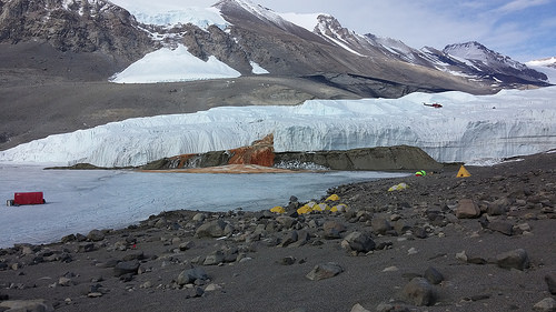 Rauf auf den Gletscher: Die Helikopter der National Science Foundation (NSF) fliegen die Ausrüstung des internationalen Teams auf den Taylor-Gletscher. Im Hintergrund sind das blaue Zelt der „Bodenkontrolle“ und das grüne Startzelt des IceMole zu sehen. Image Quelle: Jill Mikucki/University of Tennessee Knoxville (CC-BY 3.0)