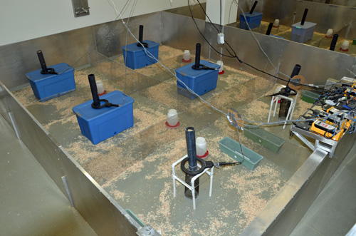A “mouse barn” such as the one shown here at the University of Utah is the heart of a new, sensitive toxicity test that allows house-type mice to compete in a seminatural environment so researchers can measure how exposure to sugar, medicines and other substances affects the mice in terms of their survival, reproduction and ability to hold territory. The blue tubs and green trays are nesting boxes, protected and unprotected, respectively. The feeding stations (vertical tubes) have sensor rings around them to detect transmitter chips implanted in male mice – a way to determine which males hold which territories. Photo Credit: Douglas Cornwall, University of Utah