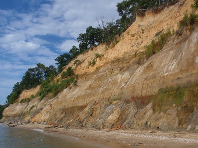 A picture of the Calvert Cliffs. . Image credit: Carnegie Institution of Washington 