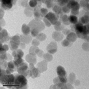 Elektronenmikroskopische Aufnahme von Magnetit-Nanopartikeln, die Eisen verwertenden Bakterien als winzige Batterien dienen können. Aufnahme credit: James Byrne