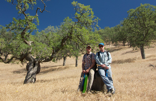 Research by WHOI paleoclimatologist Kevin Anchukaitis, left, and Univ. of Minnesota Assistant Professor Dan Griffin has shown that the drought of 2012-2014 has been the worst in 1,200 years. They used tree-rings from centuries-old blue oak like the one pictured to provide long-term context for the ongoing California drought. (Photo by Megan Lundin, Wind Wolves Preserve, Bakersfield, CA)