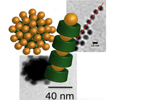 Die schematischen Modelle und elektronenmikroskopischen Aufnahmen zeigen definierte Architekturen aus Proteinen (im Modell grün) und Goldnanopartikeln. Bild Quelle: Stefan Schiller