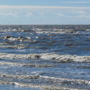 Nordsee. Image credit: © Hans-Ulrich Rösner / WWF