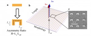 Metamaterial arrays whose geometry varied gradually from a symmetric bar to an asymmetric U-shape were used to compare the predictive abilities of Miller’s rule and a non-linear light scattering theory. Image credit: Berkeley Lab