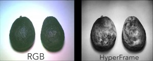 HyperFrames taken with HyperCam predicted the relative ripeness of 10 different fruits with 94 percent accuracy, compared with only 62 percent for a typical (RGB) camera. Image credit: University of Washington (Click image to enlarge)