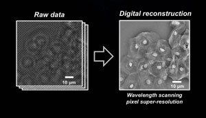 Raw data is transformed into the pixel super-resolution image. Image credit: Ozcan Lab (Click image to enlarge)