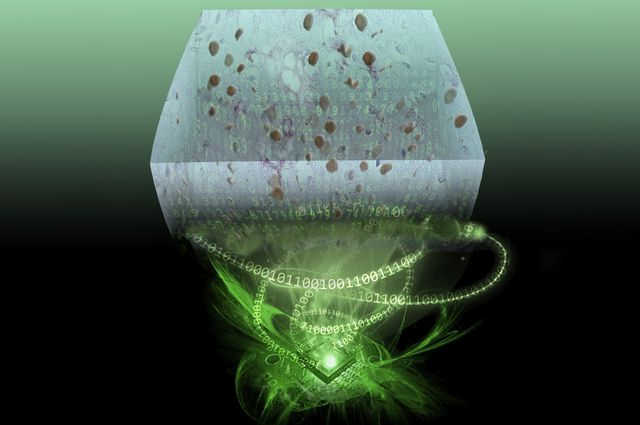 Rendering of a lens-free holographic microscope that uses a silicon chip and computer algorithms to create 3-D images of tissue samples. Image credit: Ozcan Research Group/UCLA 