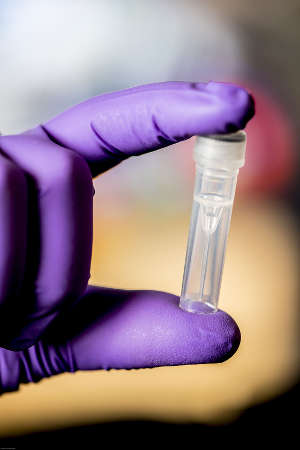 UW researchers have demonstrated for the first time that it is possible to remotely compromise a computer using information stored in DNA. This test tube holds hundreds of billions of copies of the exploit code stored in synthetic DNA molecules, which has the potential to compromise a computer system when it is sequenced and processed. Image credit: Dennis Wise/University of Washington 