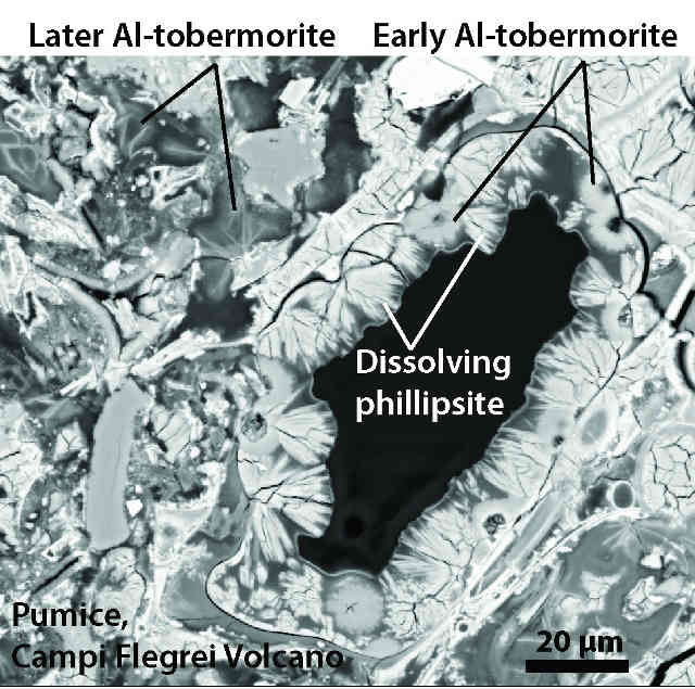 This image, from a scanning electron microscope, shows formations of aluminous tobermite crystals in a volcanic ash sample from the Campi Flegrei Volcano in Italy. X-ray experiments at Berkeley Lab’s Advanced Light Source have helped researchers to understand how these crystals develop over time to strengthen ancient Roman concrete structures. The scale bar at lower right represents 20 microns, or 20 millionths of a meter. (Image credit: University of Utah) 