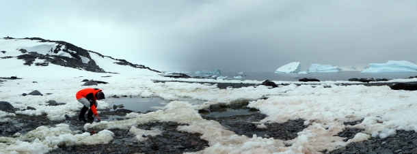Die Tübinger Geowissenschaftlerin Julia Kleinteich nimmt Süßwasserproben in der Nähe der britischen Forschungsstation Rothera in der Antarktis. Foto credit: Daniel Farinotti