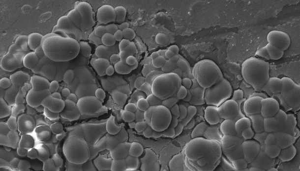 Mikrosphäroiden, zum Großteil bestehend aus Aluminium und Chlor, überwachsen die mineralische Oberfläche von synthetischem Mars-Regolith. Diese Mikrosphäroiden sind nur nach der Kultivierung von Metallosphaera sedula zu beobachten (Image copyright Tetyana Milojevic). 