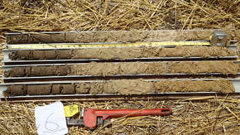 Soil cores collected from Queen Anne's County, Maryland. Image credit: University of Delaware