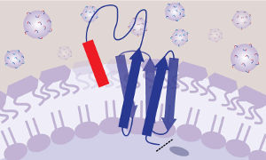 In the SLAY method, each bacterium is genetically engineered to produce a molecule on its cell surface that is part peptide and part tether--like a playground tetherball. This arrangement allows the peptides to mimic free-floating drugs in the human body. Image credit: Ashley Tucker/University of Texas at Austin 