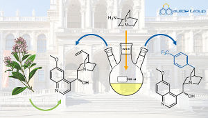 Der Naturstoff Chinin (Bildmitte) und ein neues Arylanalogon (rechts) mit verbesserter Aktivität gegen Malaria-Erreger (Image copyright: Maulide Group).
